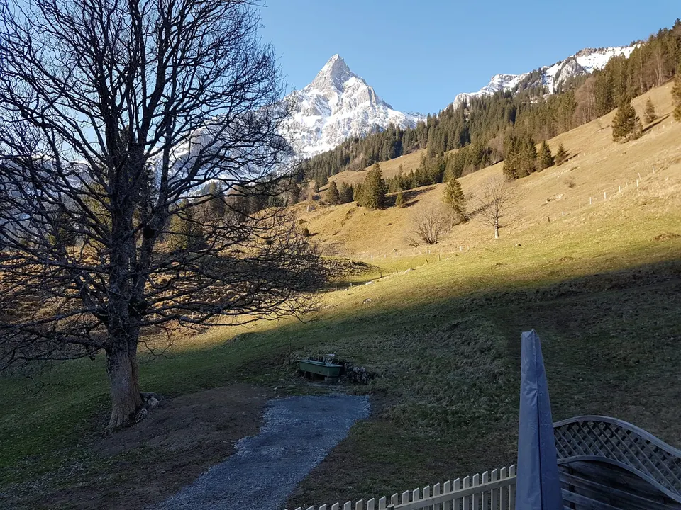 Spitzer verschneiter Gipfel, kahler Baum und Weide mit Brunnentrog und Weg
