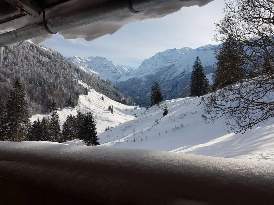 Winterblick von der Hütte über verschneite Hänge und Tannen zu Schneegipfeln