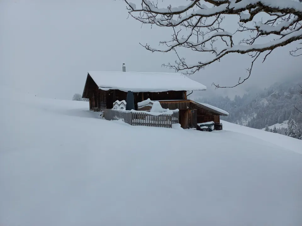 Hütte im Tiefschnee bei Nebel, Äste eines Baums im Vordergrund
