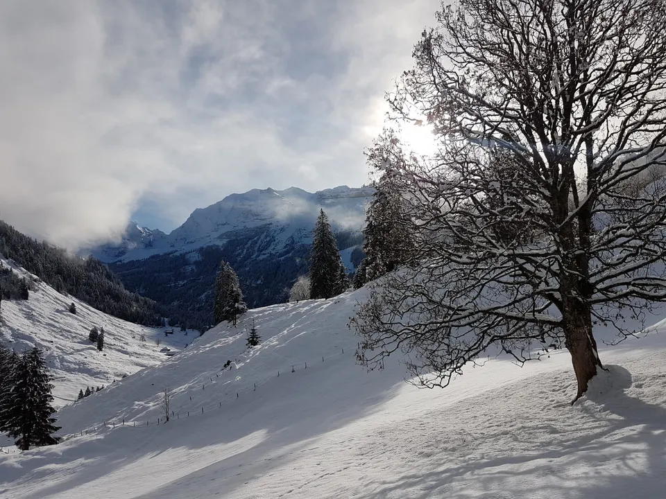 Tief verschneiter Hang mit grossem Laubbaum, Wolken über den Bergen
