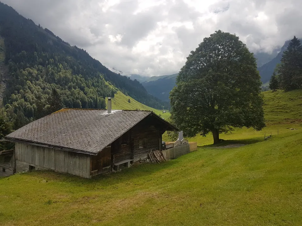 Hütte von der Seite mit Holzstapel und grossem Laubbaum, dahinter Tal und Wolken